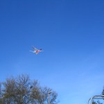 AMA Cub Flights 037