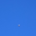 Cloud Tramp 003