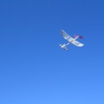 AMA Cub 012