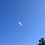 AMA Cub Squirrel 007