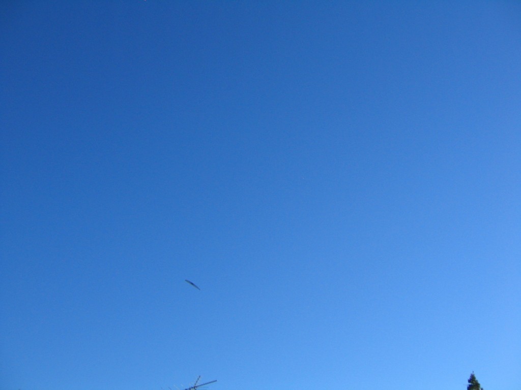 Foam Plate Gliders 059