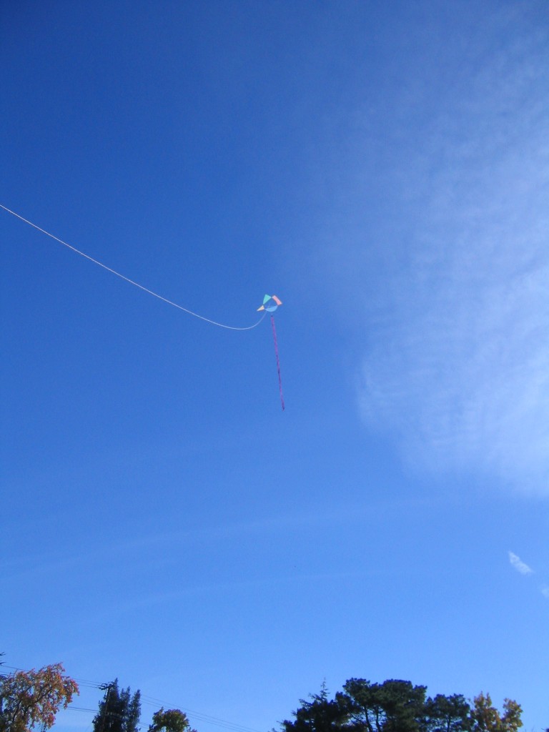 Asymetrical Kite 001