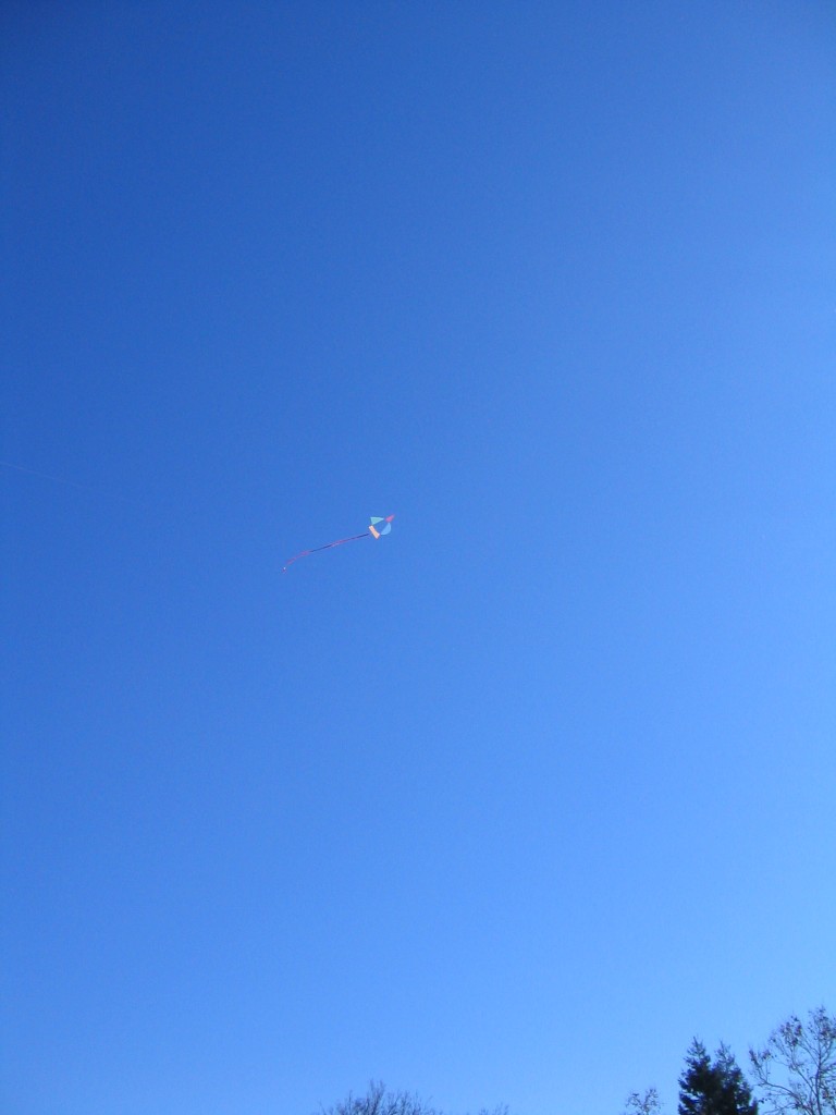 Asymmetric Kites 001