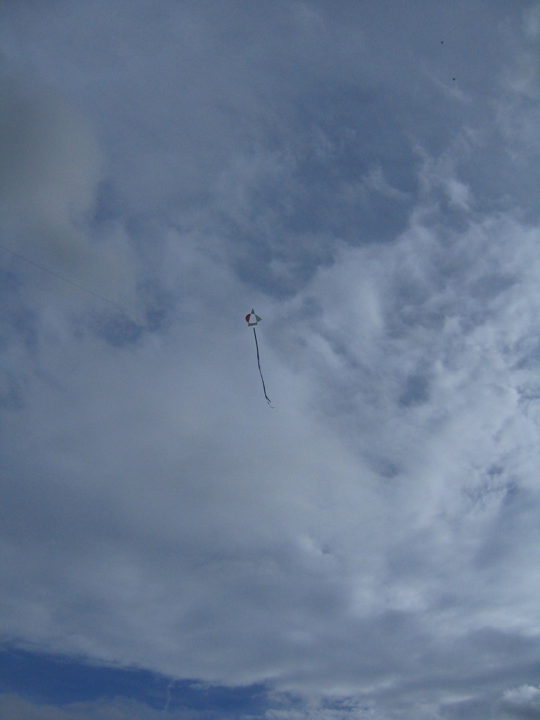 Asymmetric Kites 007