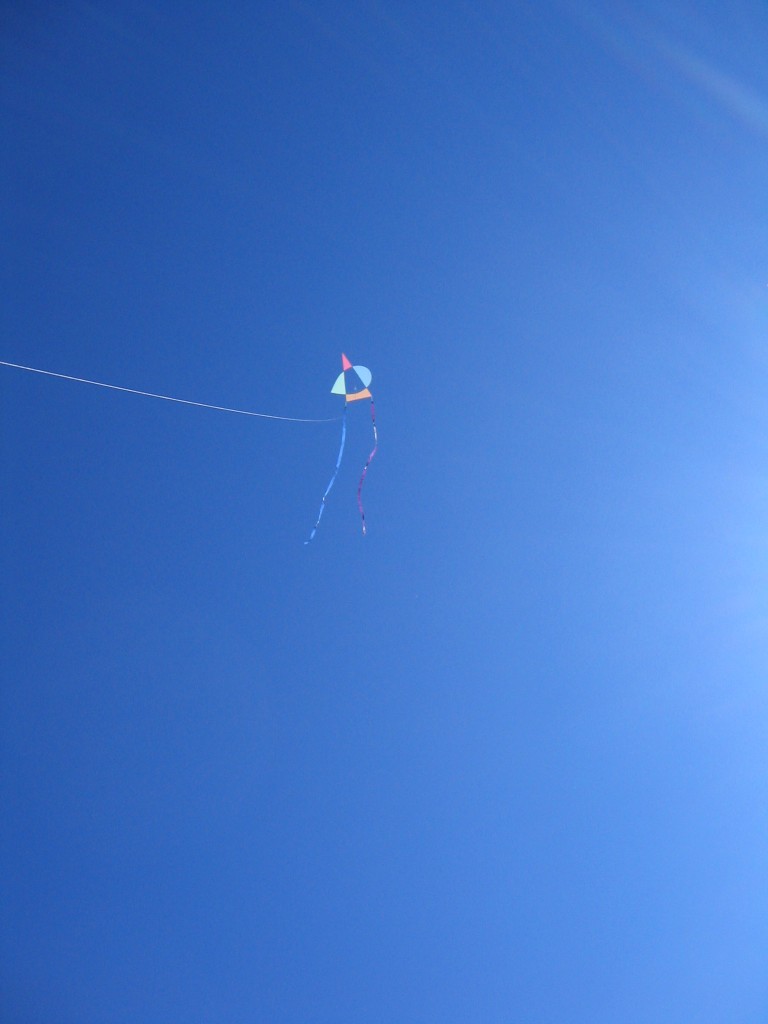 Asymmetric Kites 012